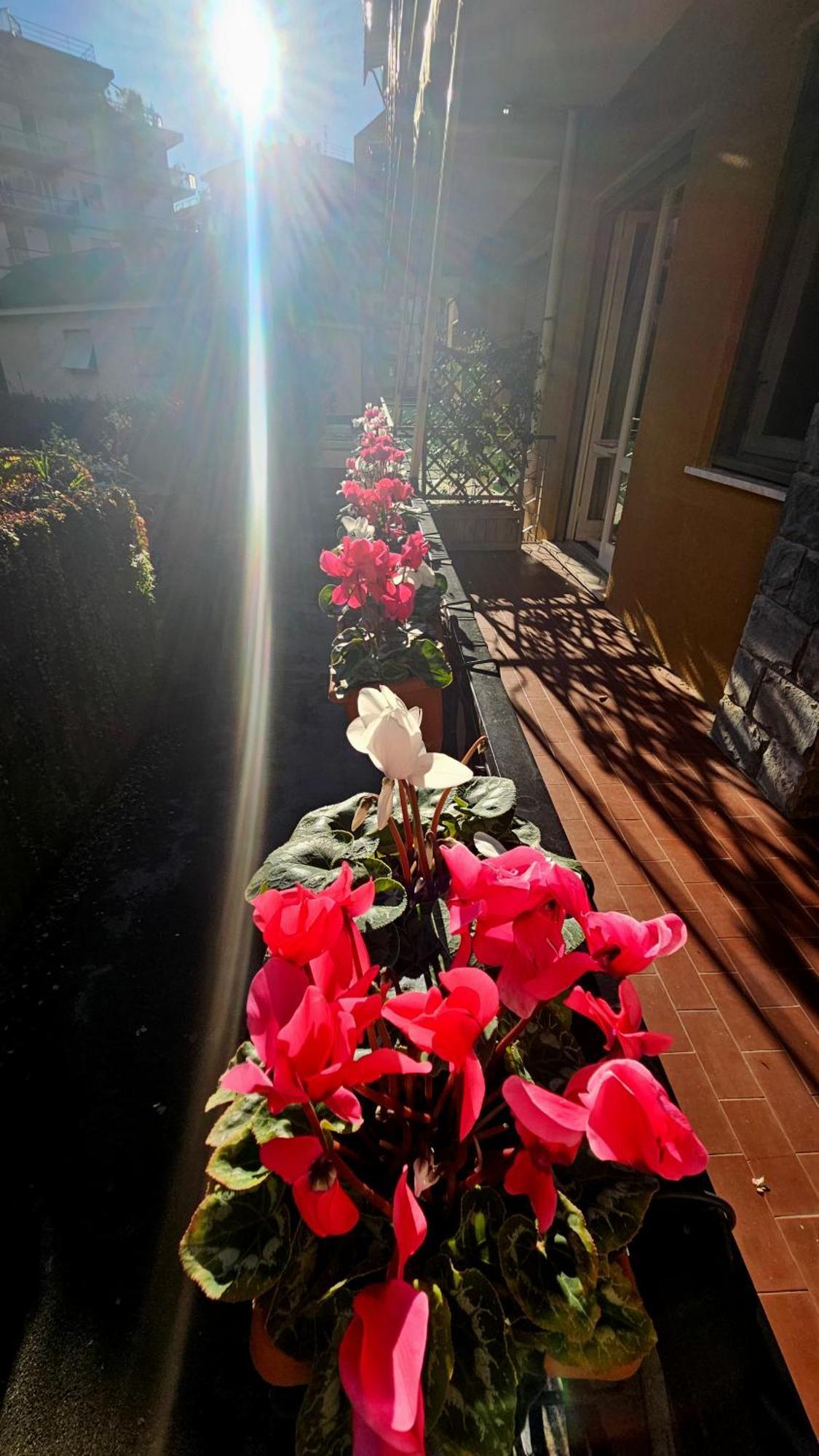 Casa Con Giardino Vicino Al Mare Apartment Rapallo Exterior photo